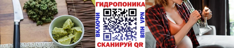 закладки  Кохма  Canna-Cookies марихуана 
