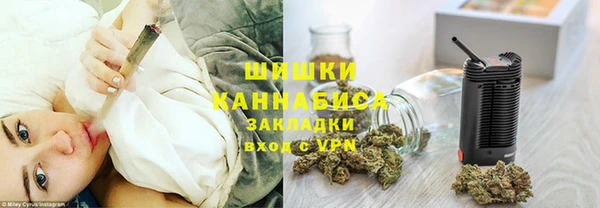 ГАЛЛЮЦИНОГЕННЫЕ ГРИБЫ Аркадак
