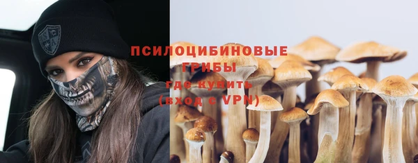 дживик Пестово
