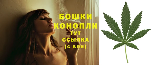 дживик Пестово