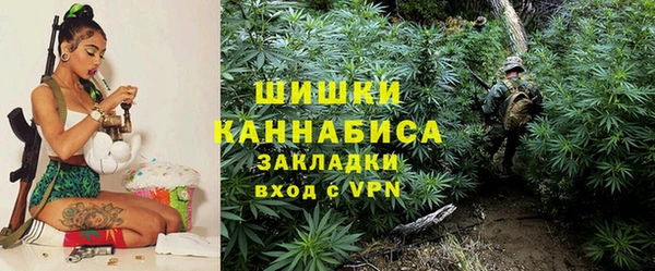 дживик Пестово