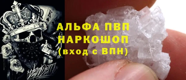 ГАЛЛЮЦИНОГЕННЫЕ ГРИБЫ Аркадак